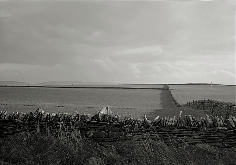 Orkney Stonewalls and Fields