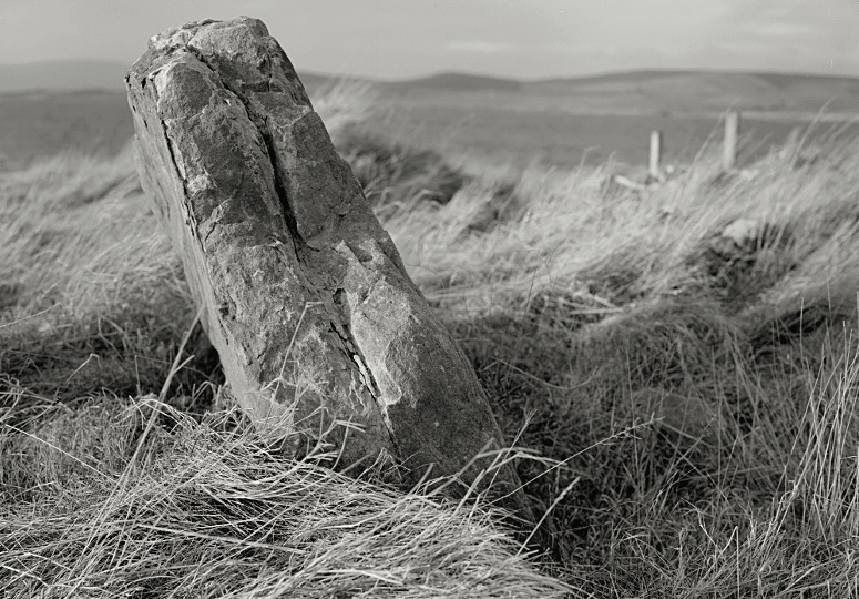 Orkney Stone OldPoint